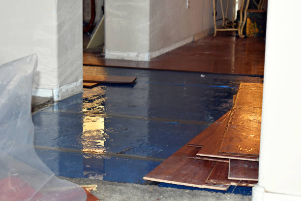 Professional Burst Pipe Cleanup technician working in Edison, CA